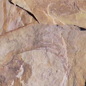 Piedras Segovia - Piedras irregulares: Cuarcita amarilla